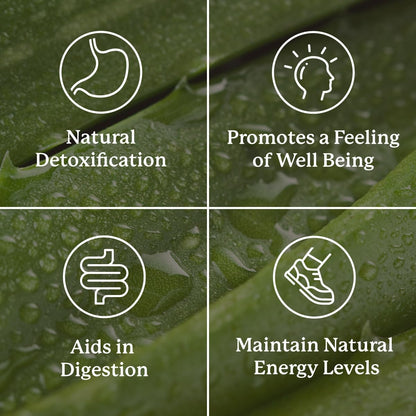 Nature's Sunshine Lower Bowel Stimulator - Helps Relieve Constipation - Cleanse & Detox Your Colon with Natural Herbal Ingredients - 25 Servings - 100 Vegcaps