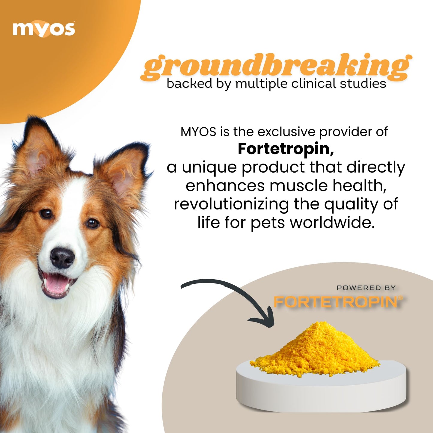Powered by Fortetropin All-Natural Dog Muscle Builder and Mobility Support Supplement for Strength and Recovery - Helps Reduce Muscle Loss Due to Normal Aging, 360g