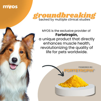Powered by Fortetropin All-Natural Dog Muscle Builder and Mobility Support Supplement for Strength and Recovery - Helps Reduce Muscle Loss Due to Normal Aging, 360g