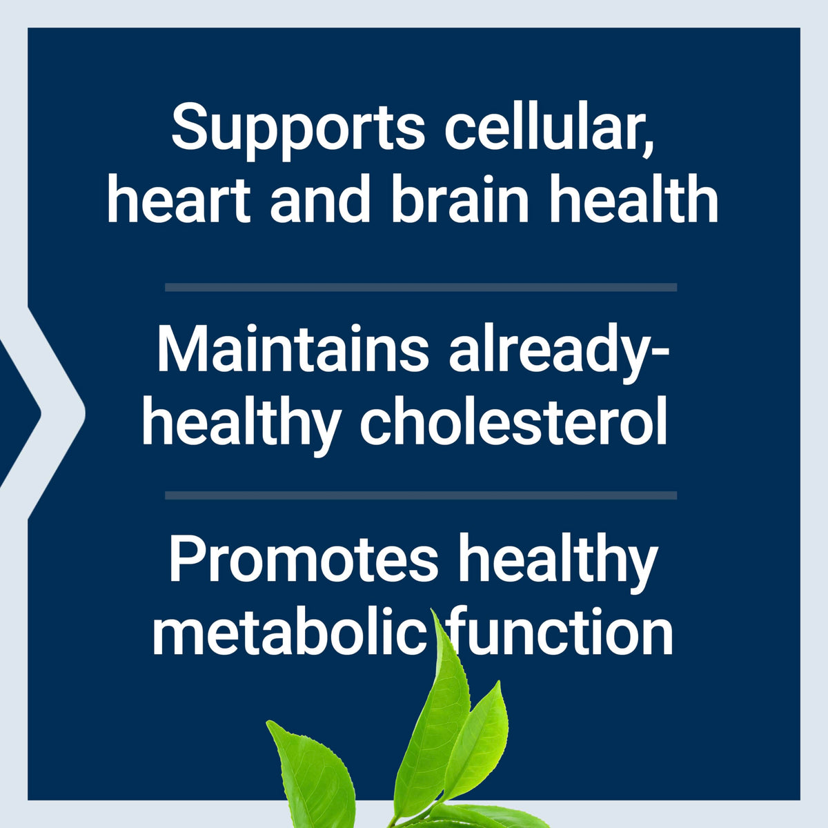 Life Extension Decaffeinated Mega Green Tea Extract – Polyphenol-Rich, Cell Health
