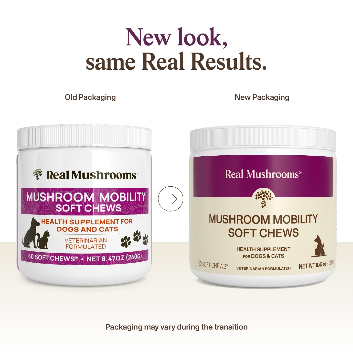 Real Mushroom Immune Pet Chews – For Daily Digestive & Immune Health – Mushrooms for Dogs & Cats Functional Treat – Mushroom Supplement for Dogs & Cats – 1 to 4 Chews For All Breeds & Sizes (60 Count)