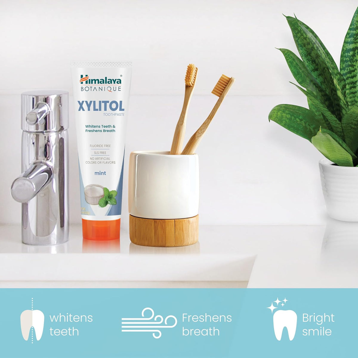 Himalaya Botanique Xylitol Fluoride-Free Toothpaste, Mint Flavor, 4 oz