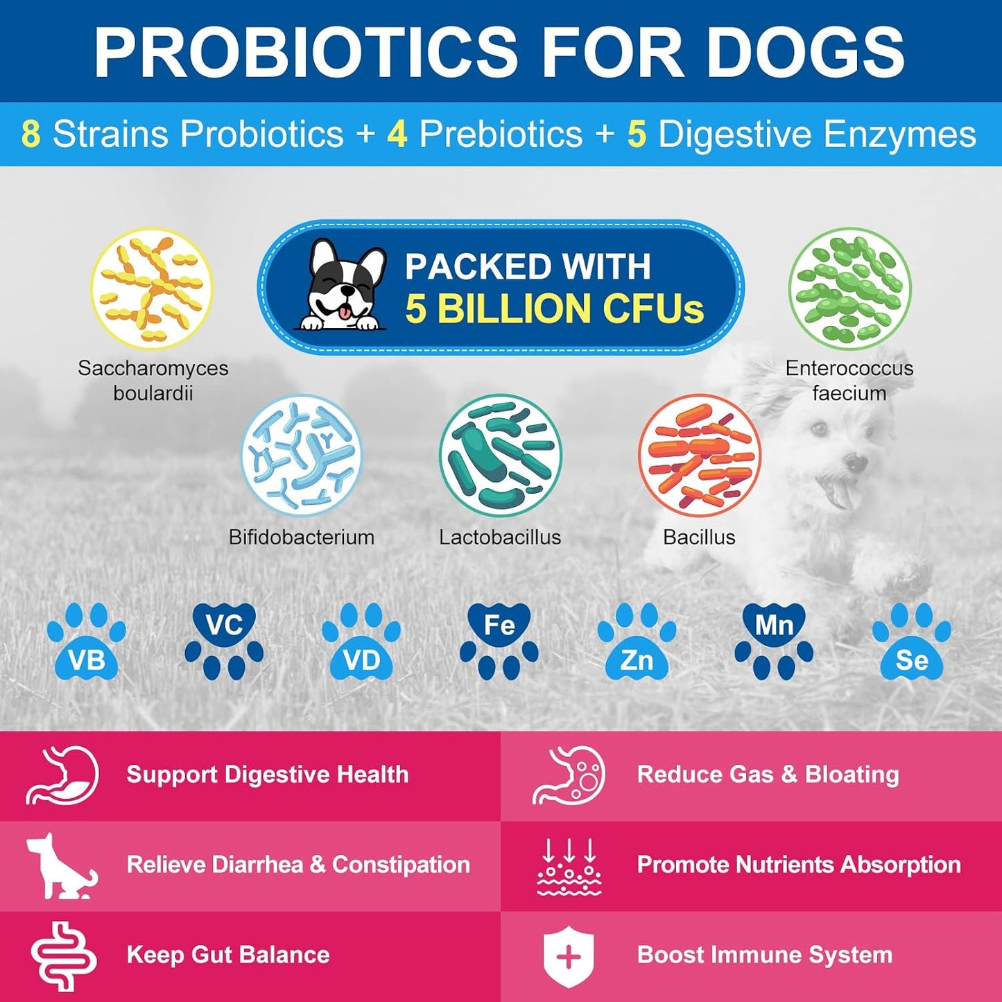 NATURE TARGET Dog Vitamins Powder, Probiotics & Digestive Enzymes for Gut Health, Glucosamine & Chondroitin & Omega 3, Complete Supplement for Homemade Dog Food, Joint & Skin & Immune Support | Probiotics & Digestive Enzymes for Gut Health, Glucosamine &