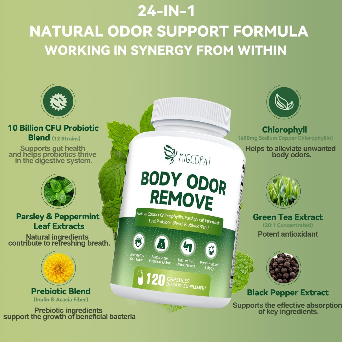 Chlorophyll Body Deodorizing Supplement, Chlorophyll Capsules with Parsley & Peppermint, Probiotic, Green Tea, Jerusalem Artichoke, Prebiotic, Supports Fresh Breath & Whole-Body Freshness, 120 Caps