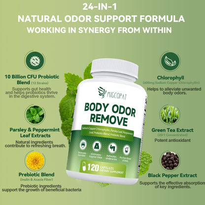 Chlorophyll Body Deodorizing Supplement, Chlorophyll Capsules with Parsley & Peppermint, Probiotic, Green Tea, Jerusalem Artichoke, Prebiotic, Supports Fresh Breath & Whole-Body Freshness, 120 Caps