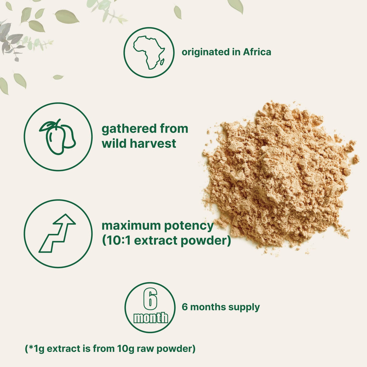 Sustainably Africa Grown, Pure African Mango Powder (Irvingia Gabonensis Powder