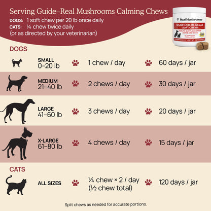 Real Mushroom Immune Pet Chews – For Daily Digestive & Immune Health – Mushrooms for Dogs & Cats Functional Treat – Mushroom Supplement for Dogs & Cats – 1 to 4 Chews For All Breeds & Sizes (60 Count)