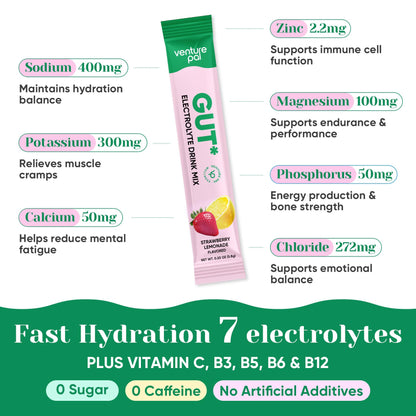 Venture Pal Sugar Free Hydration Packets + Gut Health Electrolytes Powder | Liquid Daily IV with 7 Electrolytes, 5 Vitamins, Probiotics & Fiber for Dehydration Relief and Gut Health Support