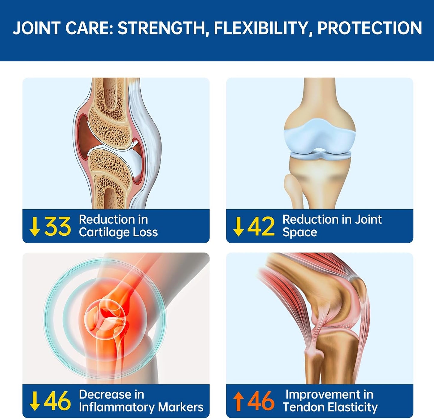5-Day Fast-Acting Glucosamine Chondroitin MSM for Joint & Cartilage Health | Lower Purine Risk, 200mg OVOMET Eggshell Membrane, 80% Less Marine Glucosamine, Regulated by German Pharmacies, Traceable PZN