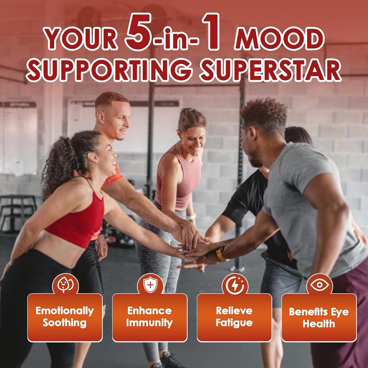 Migcopat Happy Saffron Supplement 2 Pack, 5 in 1 Saffron Capsules with Ginseng, Goji Berry & Chrysanthemum – Supports Memory, Focus, Mood, Energy, Emotional Balance & Eye Health