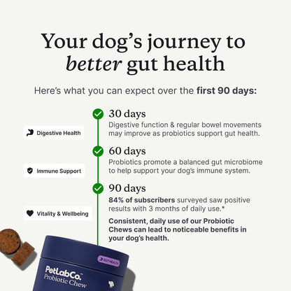 PetLab Co. Probiotic Chews, 30 Soft Chews, 2-Pack, Salmon | 8-strain probiotic blend with prebiotics to support digestive health, skin and seasonal allergy support