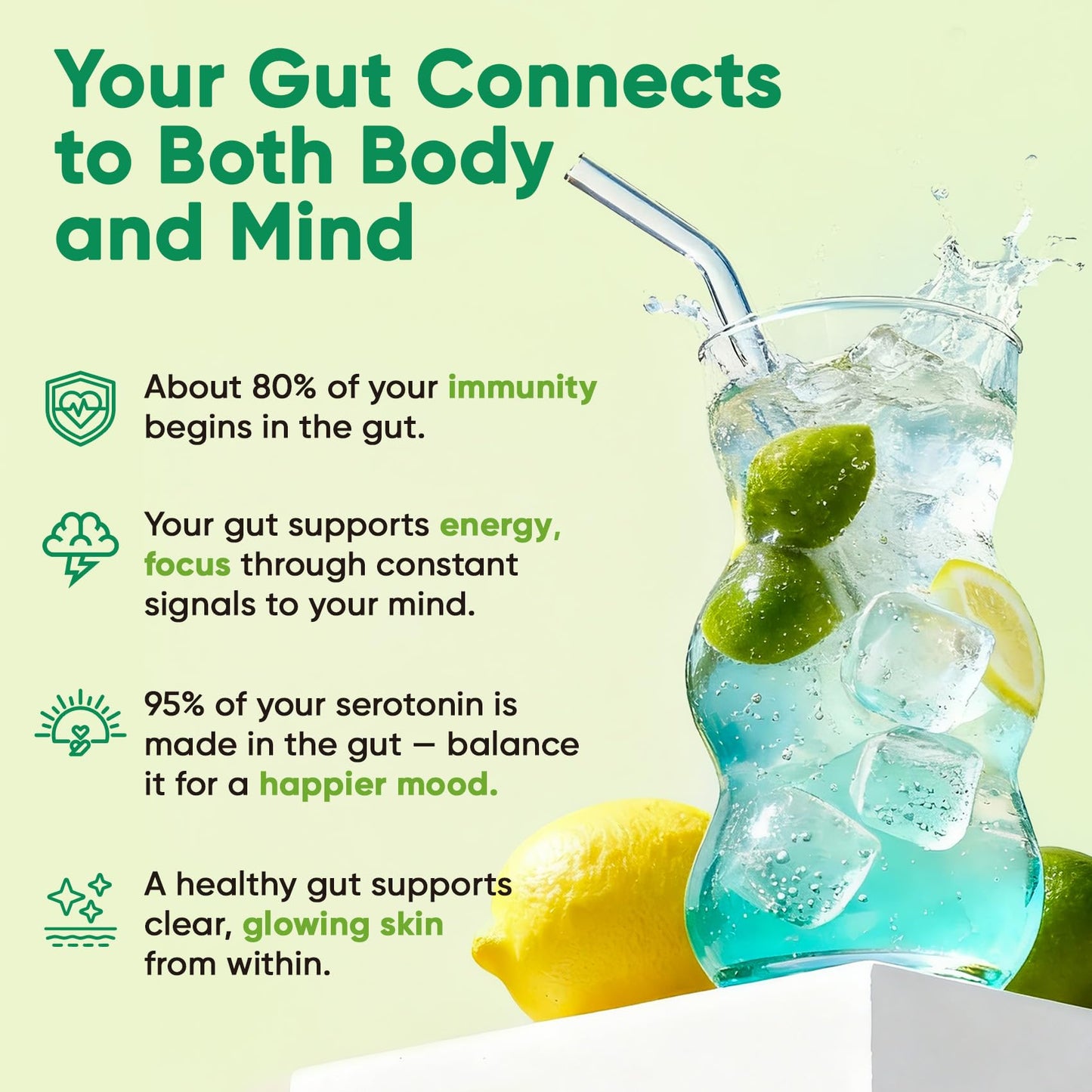 Venture Pal Sugar Free Hydration Packets + Gut Health Electrolytes Powder | Liquid Daily IV with 7 Electrolytes, 5 Vitamins, Probiotics & Fiber for Dehydration Relief and Gut Health Support
