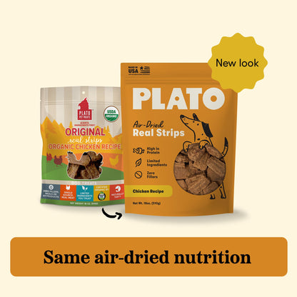 Plato Real Strips Turkey & Pumpkin Recipe Dog Treats, Air-Dried High-Protein Grain-Free Soft Strips with Real Pumpkin, 18 oz