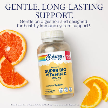 SOLARAY Super Bio Vitamin C 1000mg, Buffered, Two-Stage Timed Release with Bioflavonoids, Immune Support Supplement, High Absorption, Vegan, 60-Day Guarantee – 250 VegCaps