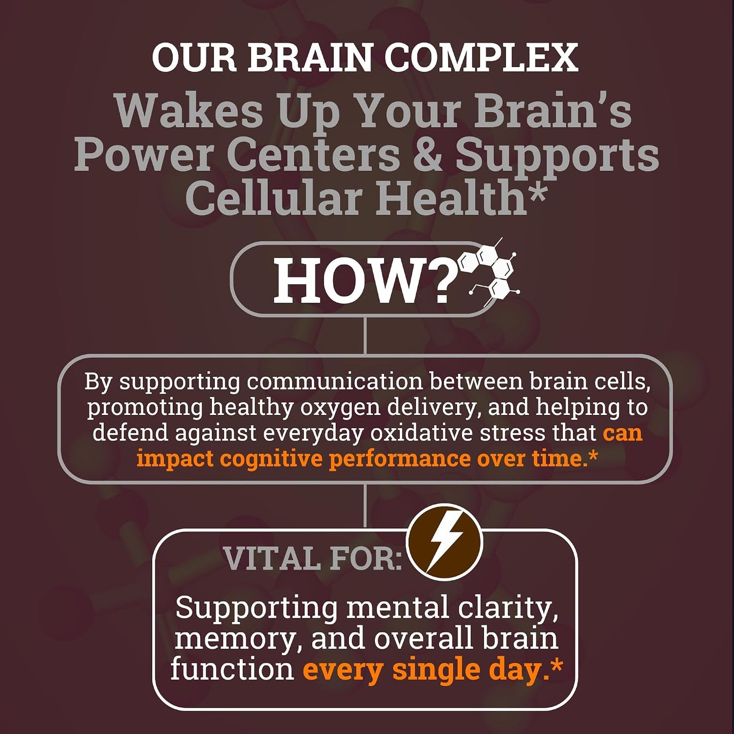 Brain Complex Addifocus™ Brain Supplements For Memory and Focus (Plasmalogen, Lions Mane, Vinpocetine 10mg & Ergothioneine) Memory Supplement for Brain, Brain Defender Supplement, Brain Health