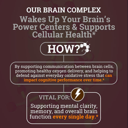 Brain Complex Addifocus™ Brain Supplements For Memory and Focus (Plasmalogen, Lions Mane, Vinpocetine 10mg & Ergothioneine) Memory Supplement for Brain, Brain Defender Supplement, Brain Health