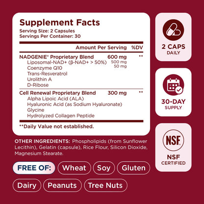 NAD+ Supplement for Women - NMN Alternative with β-NAD+, Trans-Resveratrol, CoQ10, D-Ribose - Promotes Cellular Renewal, Energy, and Radiant Skin Health - 60 Capsules Advanced