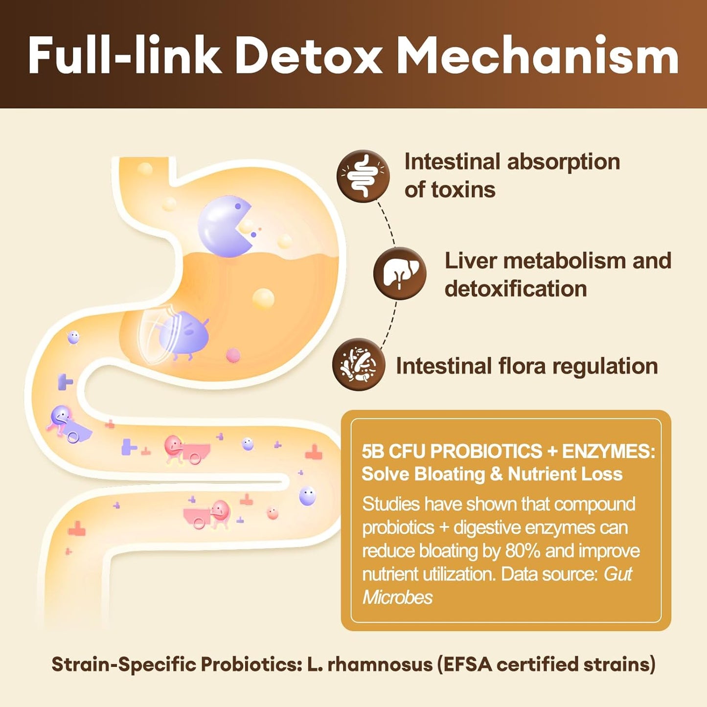 Totaria 2000MG All-in-1 Detox Binder + Strongest ''Lymph-Liver''