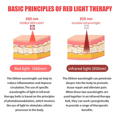 Red Light Infrared Therapy Belt: Pain Relief Device LED Red Light Therapy Lamp Near Body Large Pad Wrap