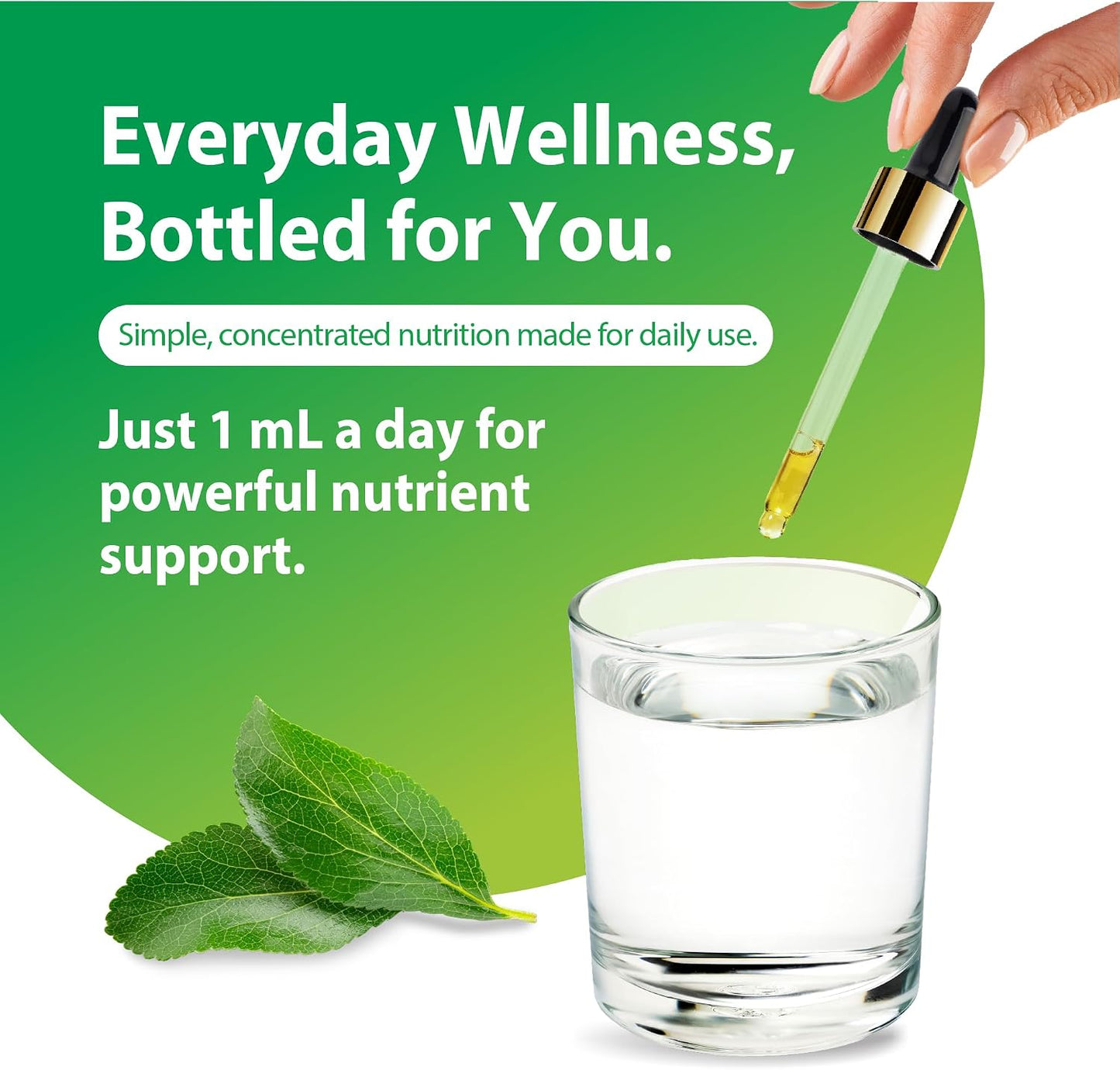 Rainbow Light Vitamin D3 + K2 as MK7 | 2 Fl Oz | 2,000IU Vitamin D | High Potency Formula | Vegetarian, Non-GMO, Gluten Free