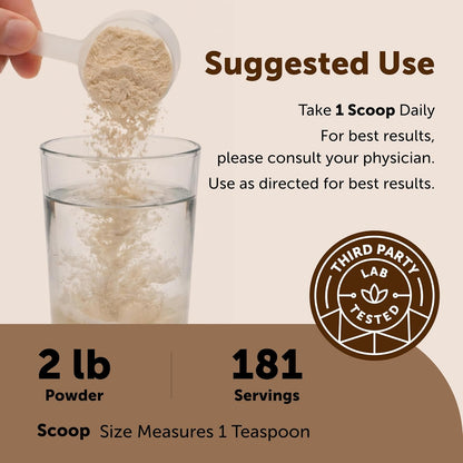 Micro Ingredients Organic Psyllium Husk Powder, 2lbs (32oz) | Daily Soluble Fiber Supplement | India Origin | Non-GMO, Keto Friendly, Vegan