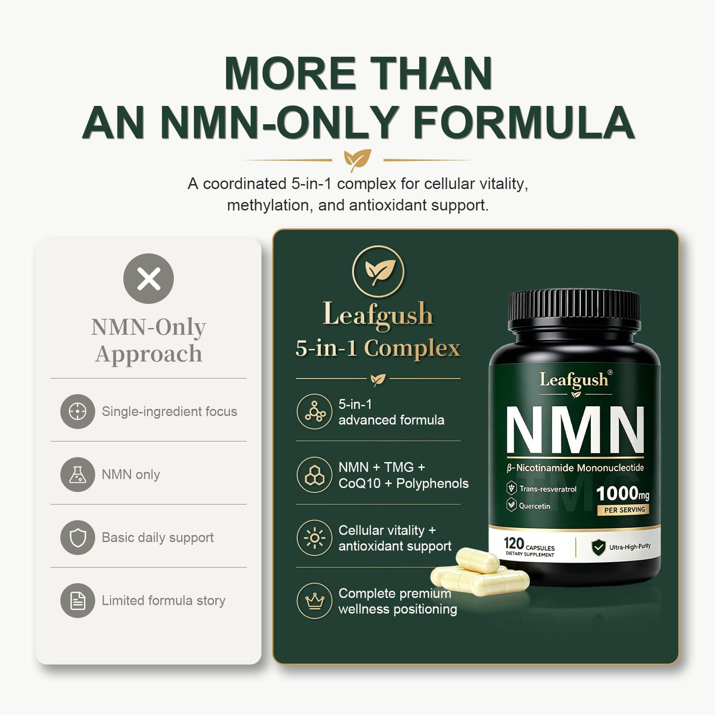 NMN Supplement, NAD+ Precursor Support 1000mg 5-in-1 Complex with 600mg Nicotinamide Mononucleotide and TMG 200mg, Trans-Resveratrol, Quercetin, CoQ10 for Cellular Energy, Antioxidant Support