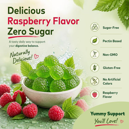 DGL Gummies - Deglycyrrhizinated Licorice Supplement for Stomach Relief & Digestive Comfort - with Aloe Vera & Marshmallow Root - Sugar Free, 60 Chewable Gummies