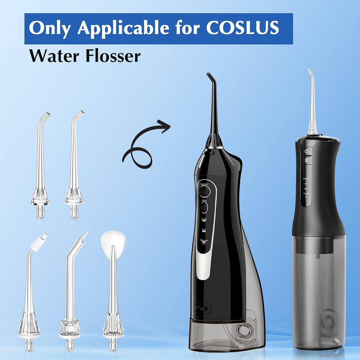 Water Dental Flosser Teeth Pick & Water Dental Flosser Tip Replacement Heads