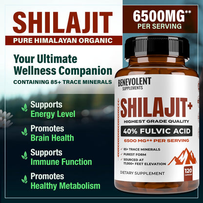 6,500mg Shilajit Supplement with 40% Fulvic Acid (High Absorption) | Authentic Himalayan