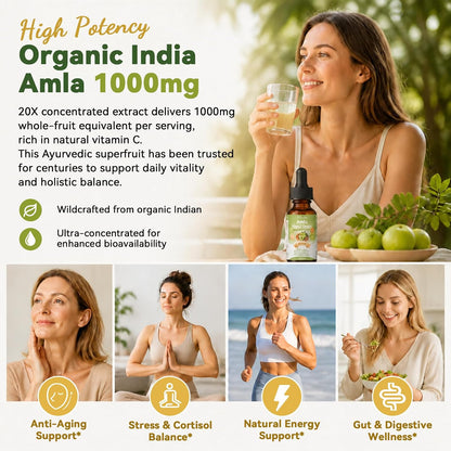 Organic Amla Liquid Drops, Indian Gooseberry Amla Superfruit Extract 1000mg | Advanced 5-in-1 Amla Herbal w. Ashwagandh Turmeric Tulsi for Antioxidant Energy & Digestive Hair Ayurvedic Daily Wellness