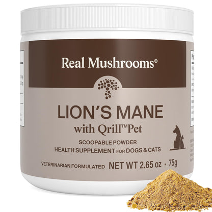 Real Mushrooms Lion’s Mane Pet Mushroom Supplement – Pet Wellbeing Capsules – for Cat & Dog Supplement & Vitamins – Support Mindful Routines – Organic, Vegan, Non-GMO, 120 Count
