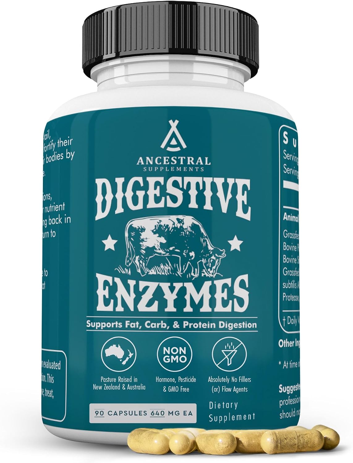 Ancestral Supplements Digestive Enzymes for Women & Men, 90 Ct | Probiotics plus grass fed beef organ supplements support gut health, digestion and nutrient absorption.