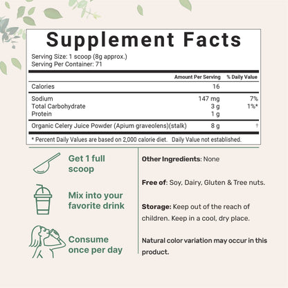 Organic Celery Juice Powder, 20 Ounce (1.25 Pound), 71 Serving, Celery Detox and Cold
