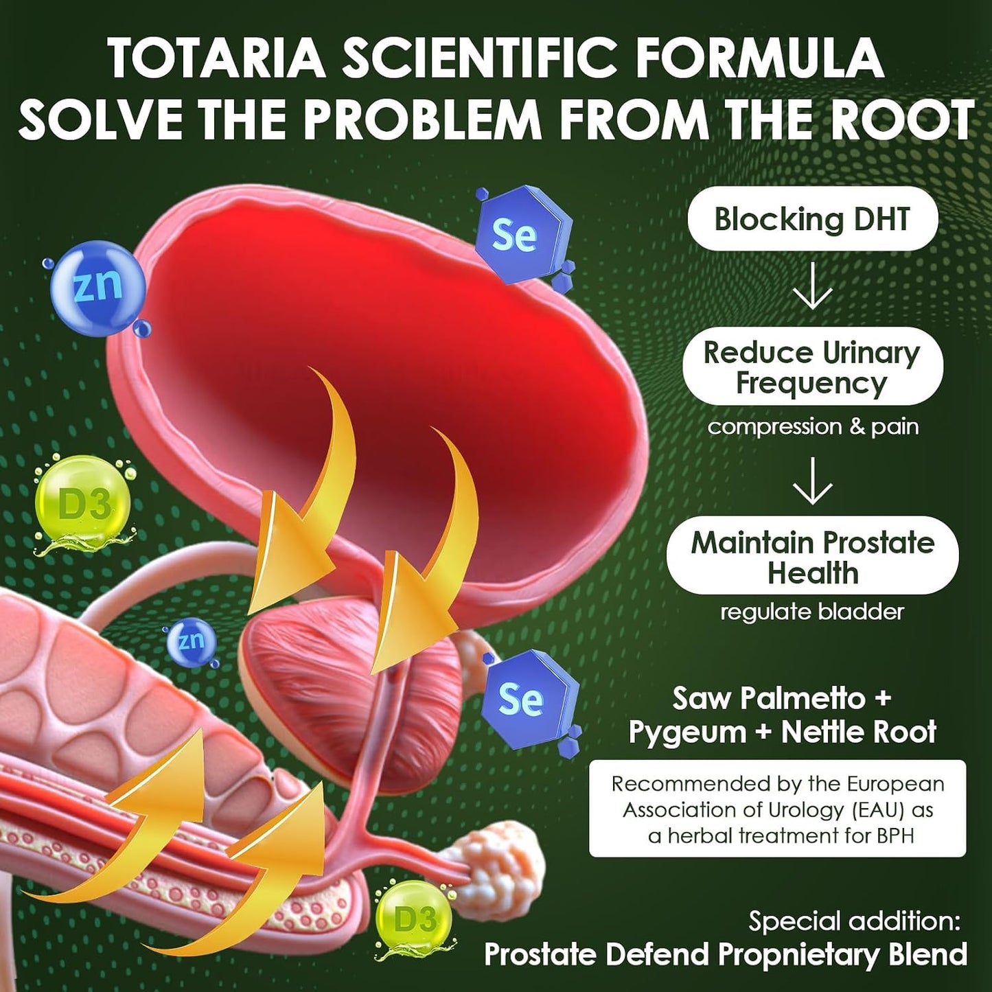 Totaria Organic Saw Palmetto with Pumpkin Seed - Prostate Health Supplements with Ashwagandha Root, Stinging Nettle, Prostate Defend Propnietary Blend, DHT Blocker for Men & Women, 120 Count