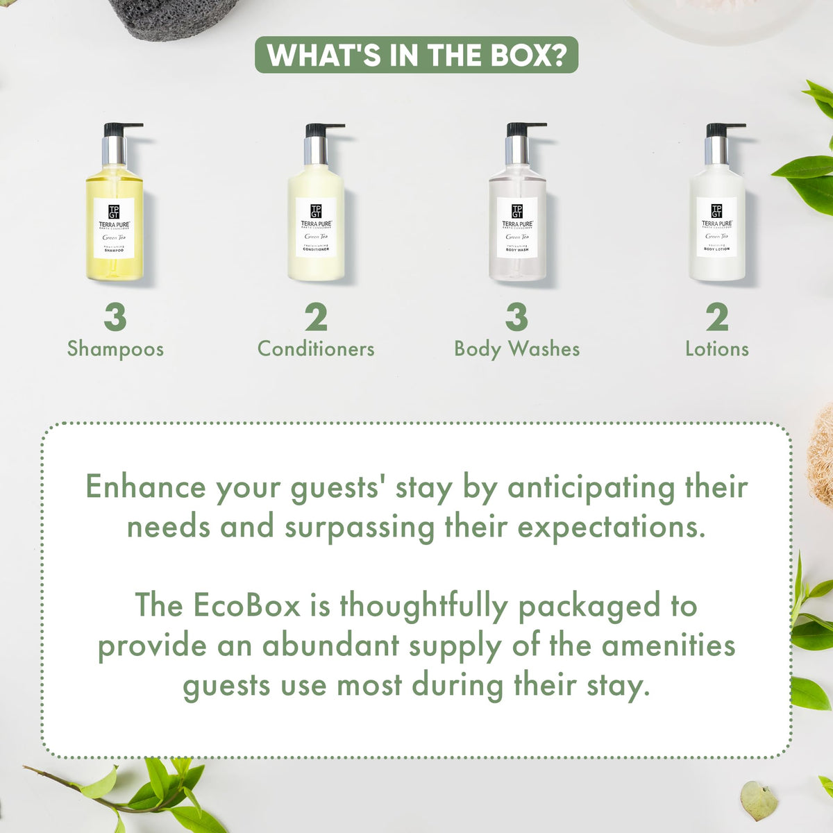 Terra Pure 10 Piece Ecobox All-In-Kit | Green Tea Soap | 3 Shampoo, 2 Conditioner, 3 Body