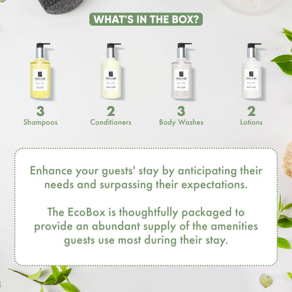 Terra Pure 10 Piece Ecobox All-In-Kit | Green Tea Soap | 3 Shampoo, 2 Conditioner, 3 Body