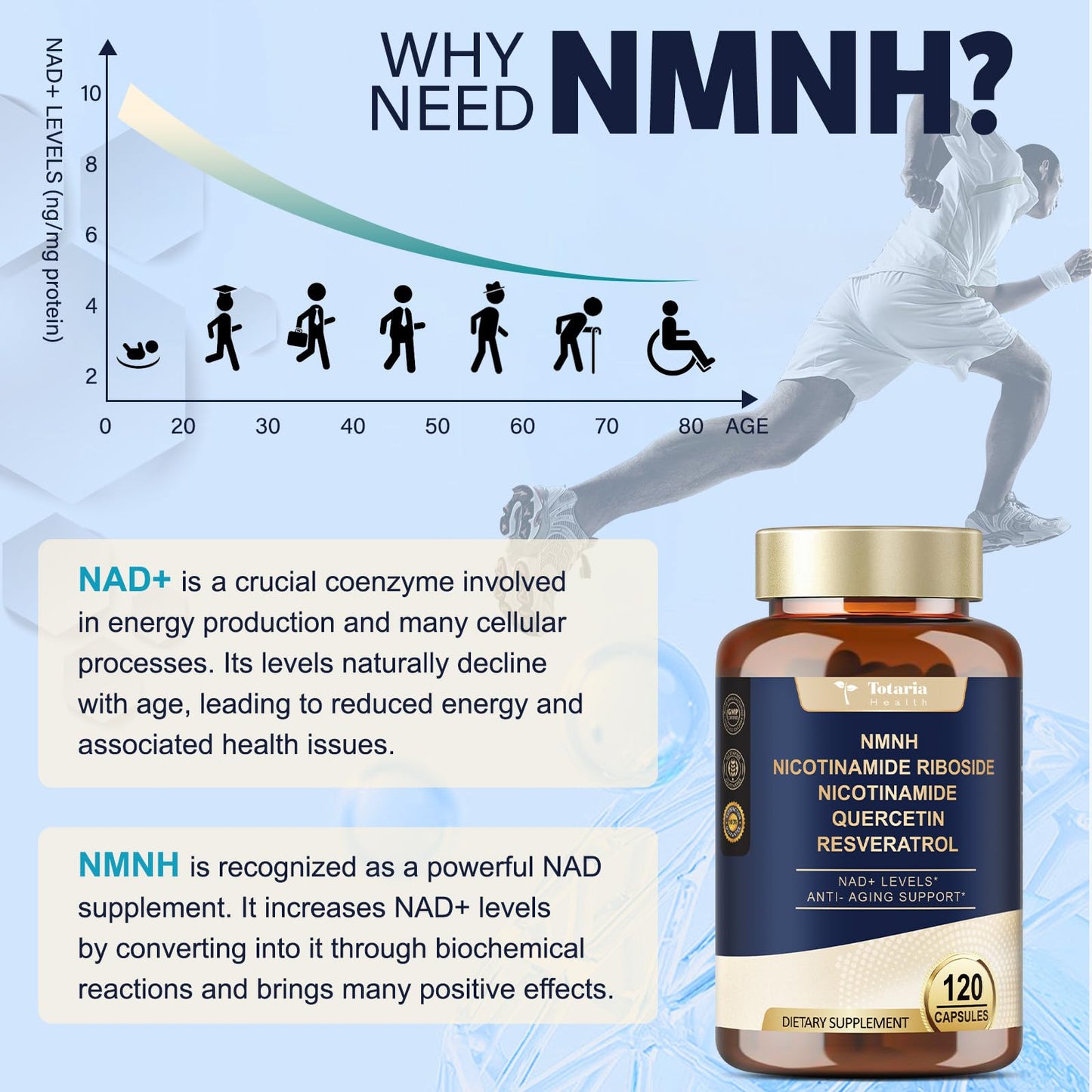 Totaria NMNH 500mg (Dihydronicotinamide Mononucleotide), Premium NMN Alternative Supplement w/Niacinamide (Vitamin B3), Quercetin, Trans-Resveratrol, for NAD+, Skin Cell, Anti-Aging & Energy, 120 Ct