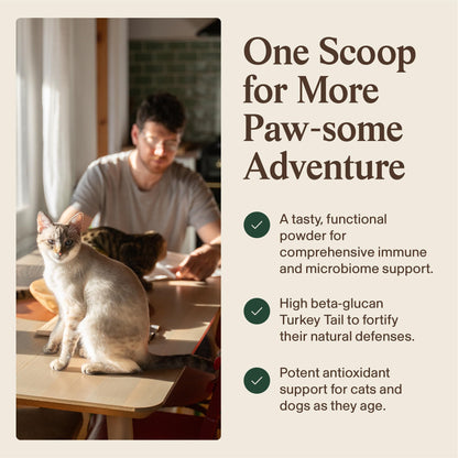 Real Mushrooms Turkey Tail Capsules for Pets –Cat Probiotics & Dog Vitamins – Organic Mushroom Supplement for Dogs & Cats – Supports Daily Balance & Well-Being Non-GMO, 90 ct
