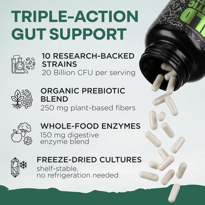 Wild Prebiotics and Probiotics with Digestive Enzymes | 20 Billion CFU - 10 Strains for Women & Men | Support Gut Health & Digestion Supplements | Non-GMO Prebiotic Fiber | 30 Count (Pack of 2)