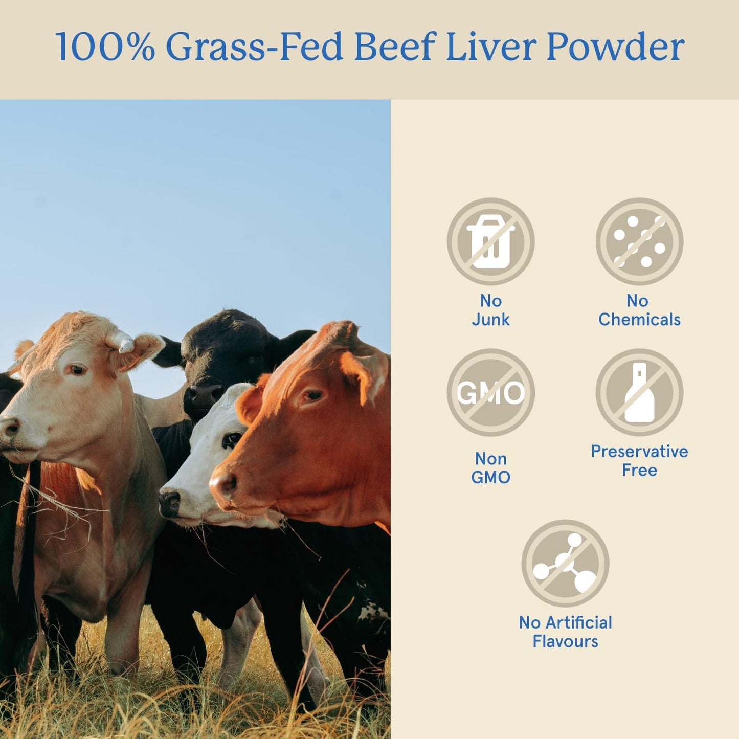 Equip Grass-Fed Beef Organs - Regenerative Freeze Dried Beef Liver Capsules - Includes Kidney & Heart - Natural Multivitamin Organ Supplements to Support Energy, Immunity & Heart Health (30 Servings)