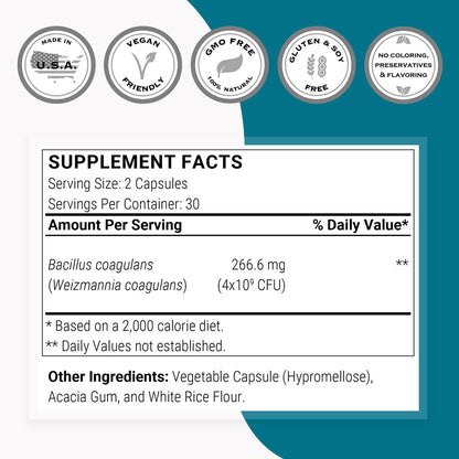 Supersmart Bacillus Coagulans Probiotic 4 Billion CFU per Day (High Absorption) - Lactobacillus Sporogenes Supplement | Non-GMO & Gluten Free - 60 Delayed Release Capsules