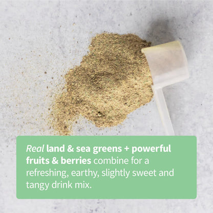 Colorfuel Organic Greens Drink Powder Mix w/ Superfoods | Digestive Support, Prebiotics + Spirulina, Ashwagandha, Slightly Sweet Flavor (30 servings)
