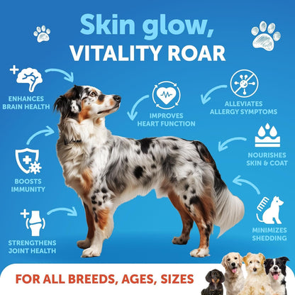 Pumpkin Powder for Dogs + Salmon Oil Bundle - Fiber Supplement for Digestion, Gut Balance & Firm Stool - Omega 3 with EPA & DHA for Skin, Coat, Joint & Allergy Support