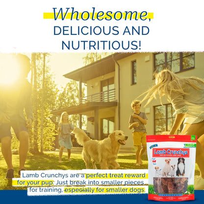 PCI Pet Center Inc Lamb Crunchys raw dehydrated Lamb Dog Treats, 16 oz Pack | Made in USA dog treats from single-ingredient lamb lung, for dogs of all ages - can be used for training or daily treats
