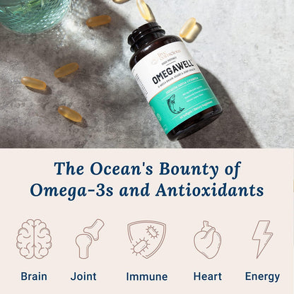 Live Conscious OmegaWell Fish Oil & MagWell Magnesium Zinc & Vitamin D3 | Bone & Heart Health, Immune System Support + Heart, Brain & Joint Support