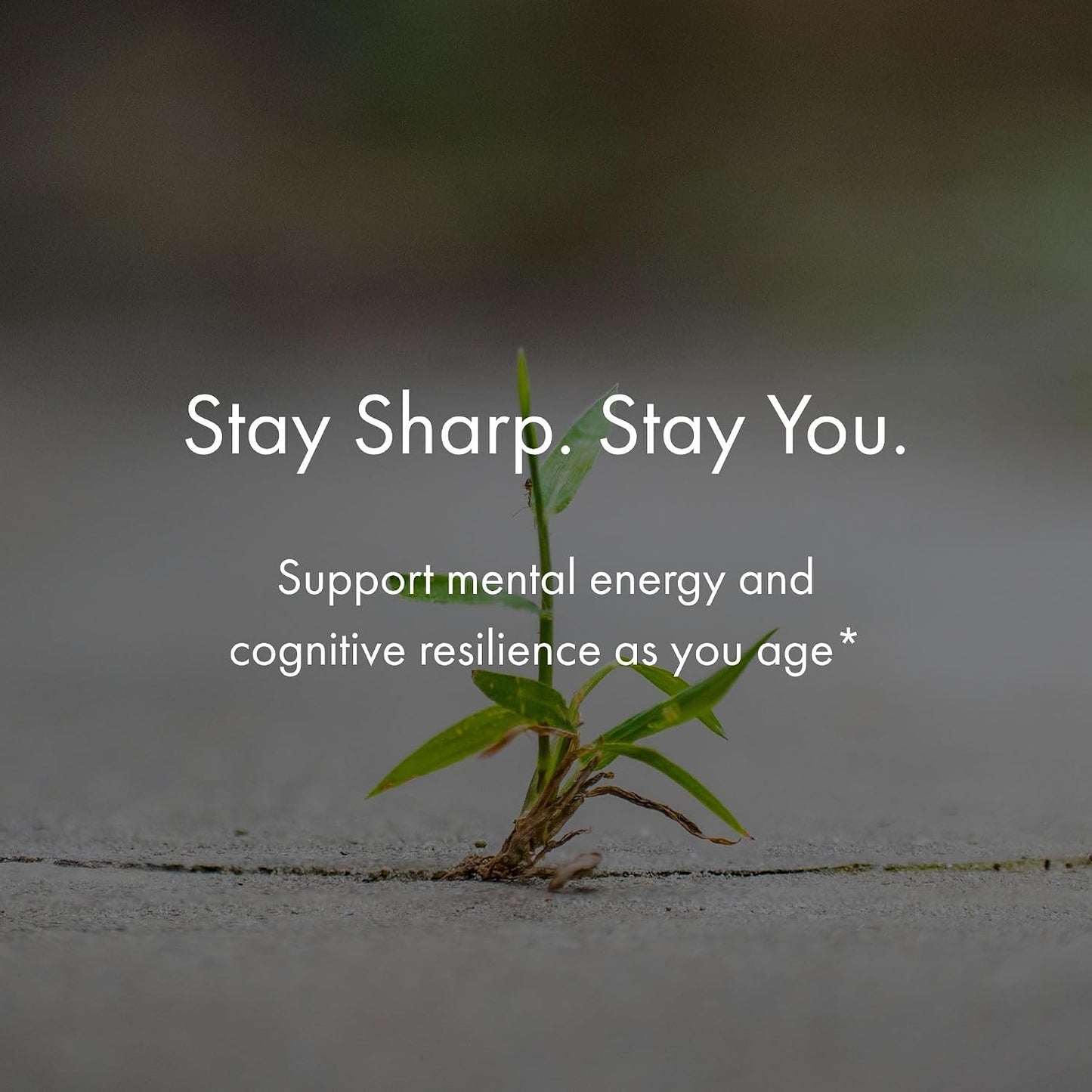 NAOMI BrainSpan™ with BDNF Support - Supports Working Memory, Focus & Concentration - CogniSage™, CognatiQ®, Lion Mane, Phosphatidylserine, Ginkgo Biloba, B6 & B12, Non-GMO, 30-Day Supply