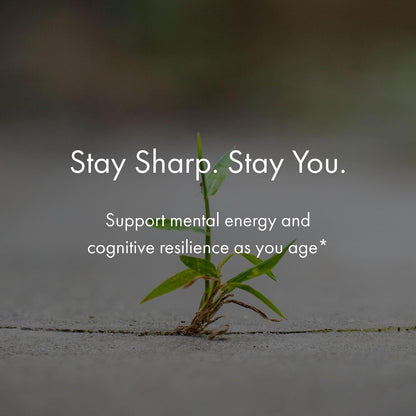 NAOMI BrainSpan™ with BDNF Support - Supports Working Memory, Focus & Concentration - CogniSage™, CognatiQ®, Lion Mane, Phosphatidylserine, Ginkgo Biloba, B6 & B12, Non-GMO, 30-Day Supply