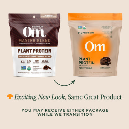 OM MUSHROOM SUPERFOOD Master Blend Vegan Protein – Organic Vanilla Plant Protein Powder, GLP-1 Friendly, Excellent Source of Protein, Good Source of Fiber, 10 Functional Mushrooms – 16 Servings