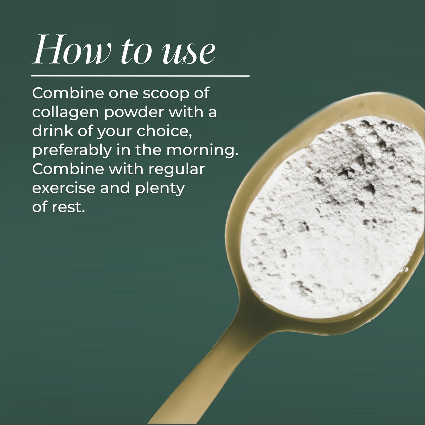 Primal Harvest Collagen - Powdered Daily Supplement, Dairy & Gluten Free