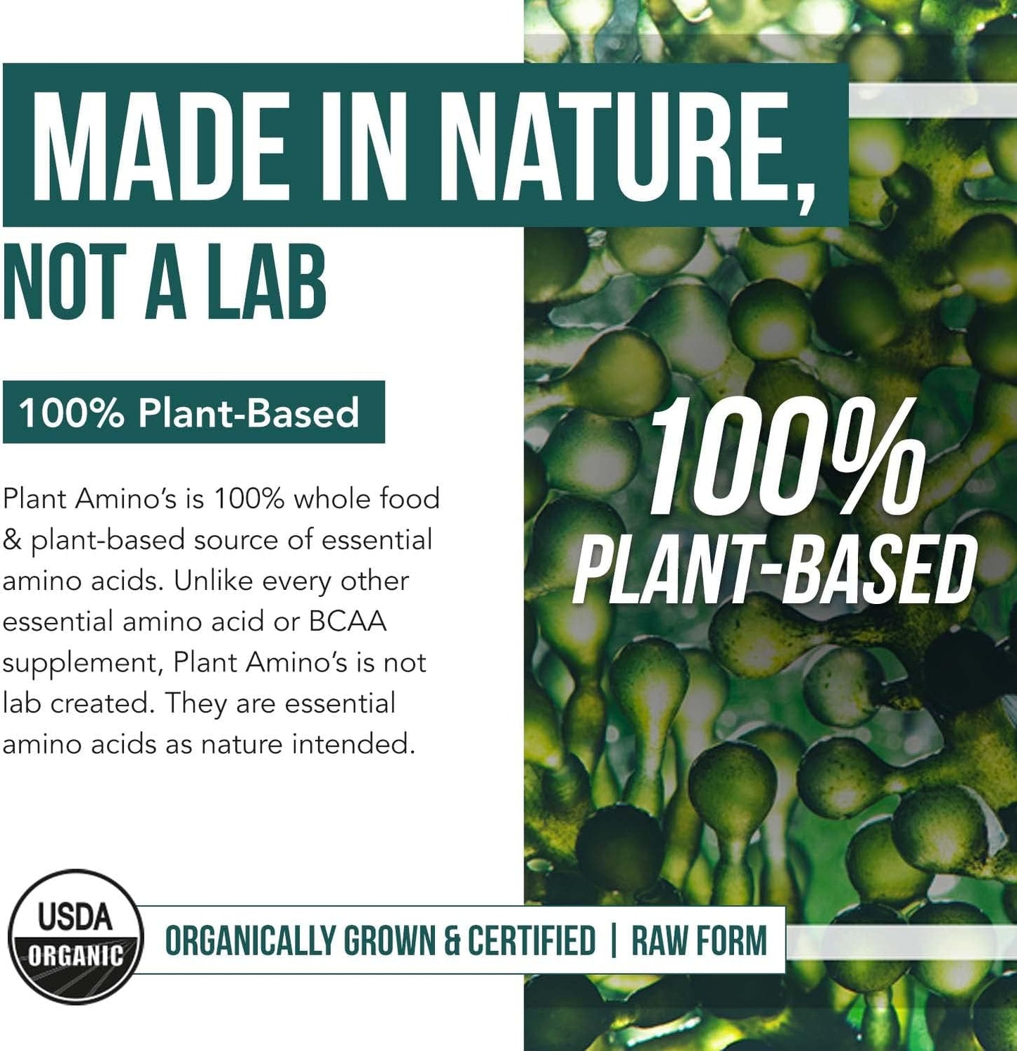 Plant Aminos Organic Essential Amino Acid Supplement (EAAs) & BCAA - 100% Plant-Based Raw, Vegan - All 9 Essential Amino Acids with 18 Total Amino Acids (360 Tablets)